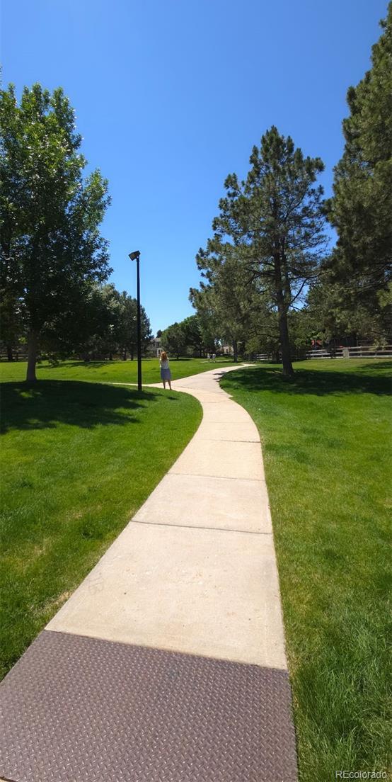 Photo #26