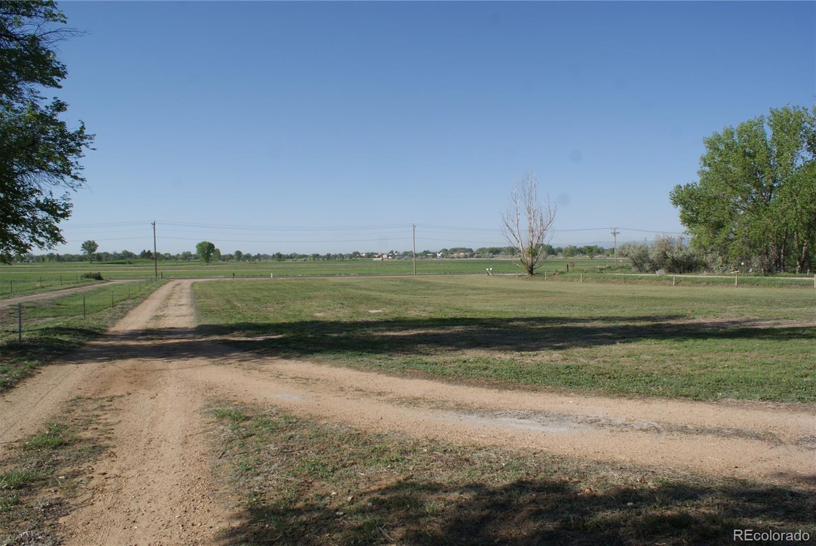 Photo #13