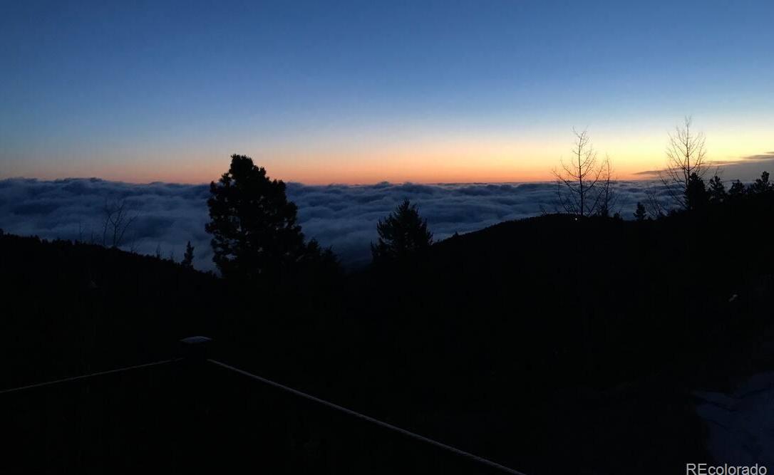 Photo #16