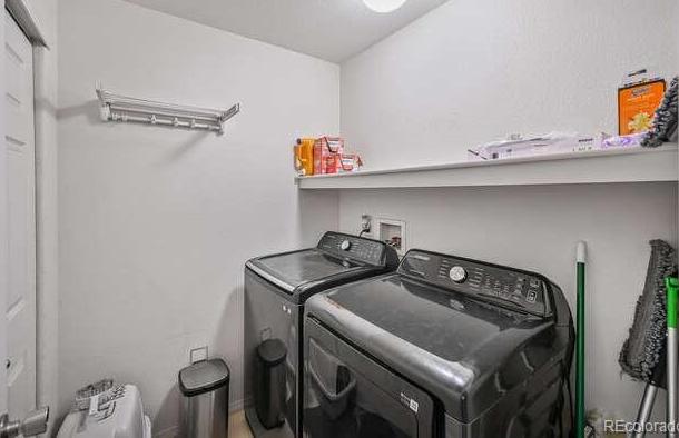 Photo #14