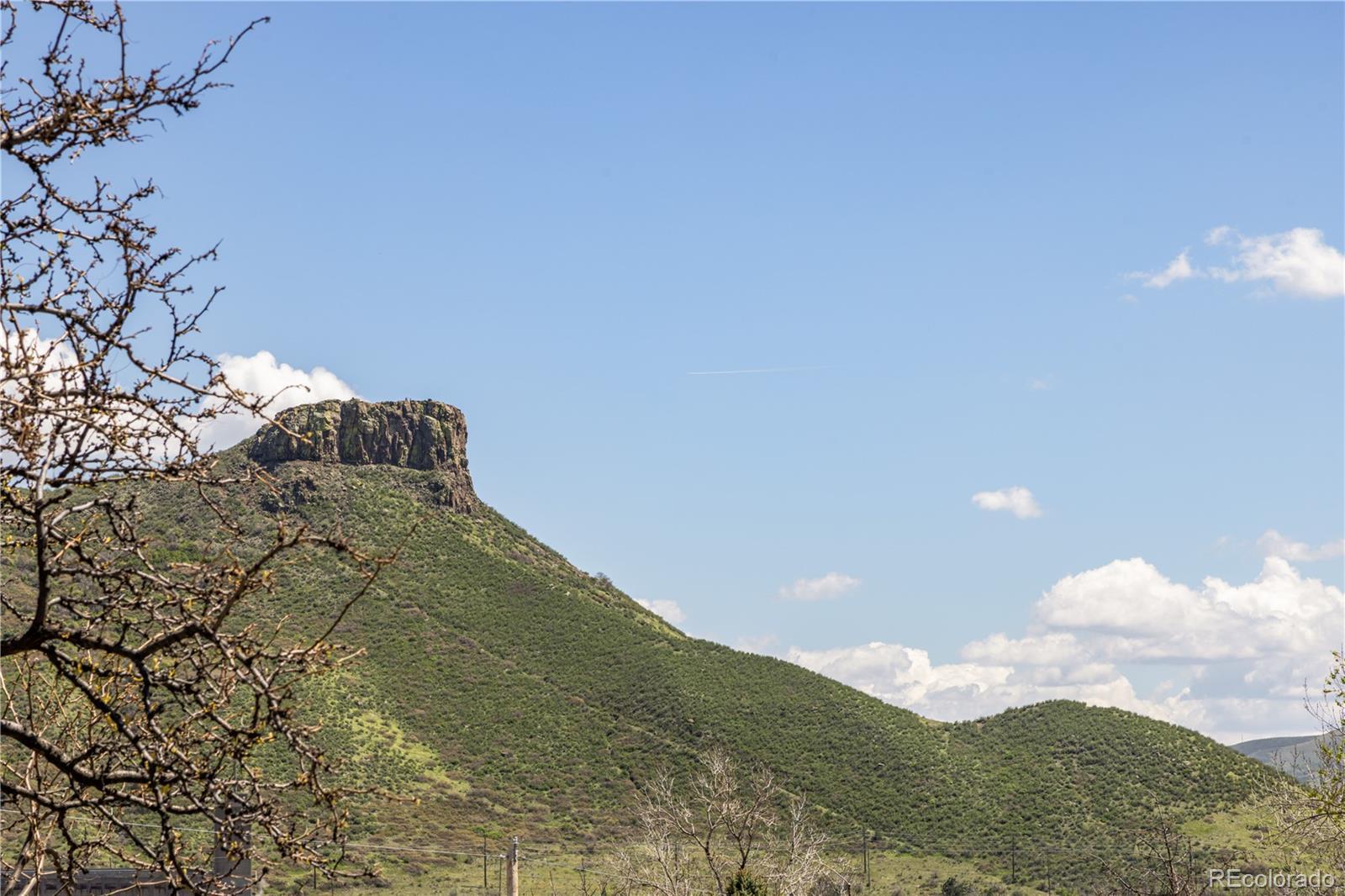 Photo #45
