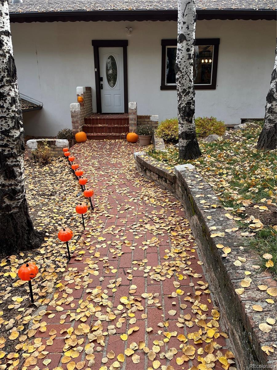 Photo #48
