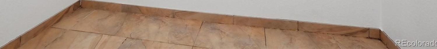 Photo #11
