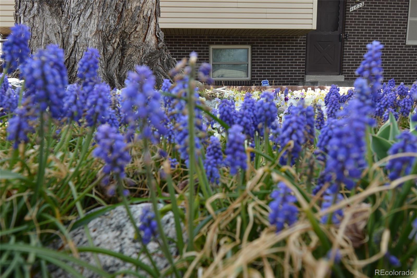 Photo #9