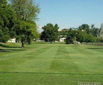 Photo #47