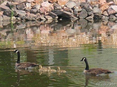 Photo #37