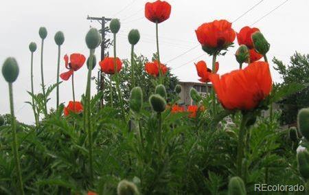 Photo #36