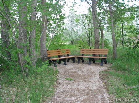 Photo #45