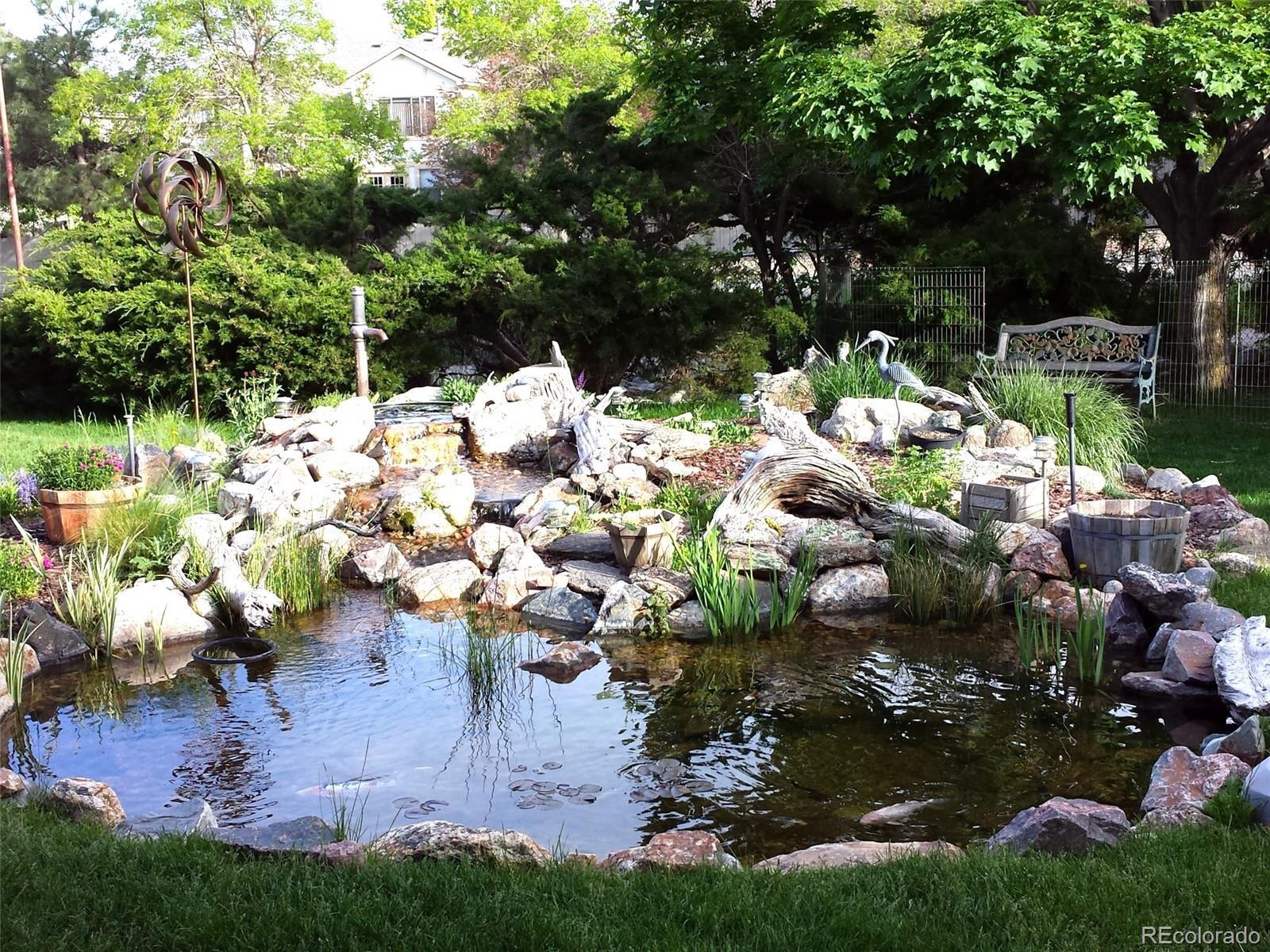 Photo #31