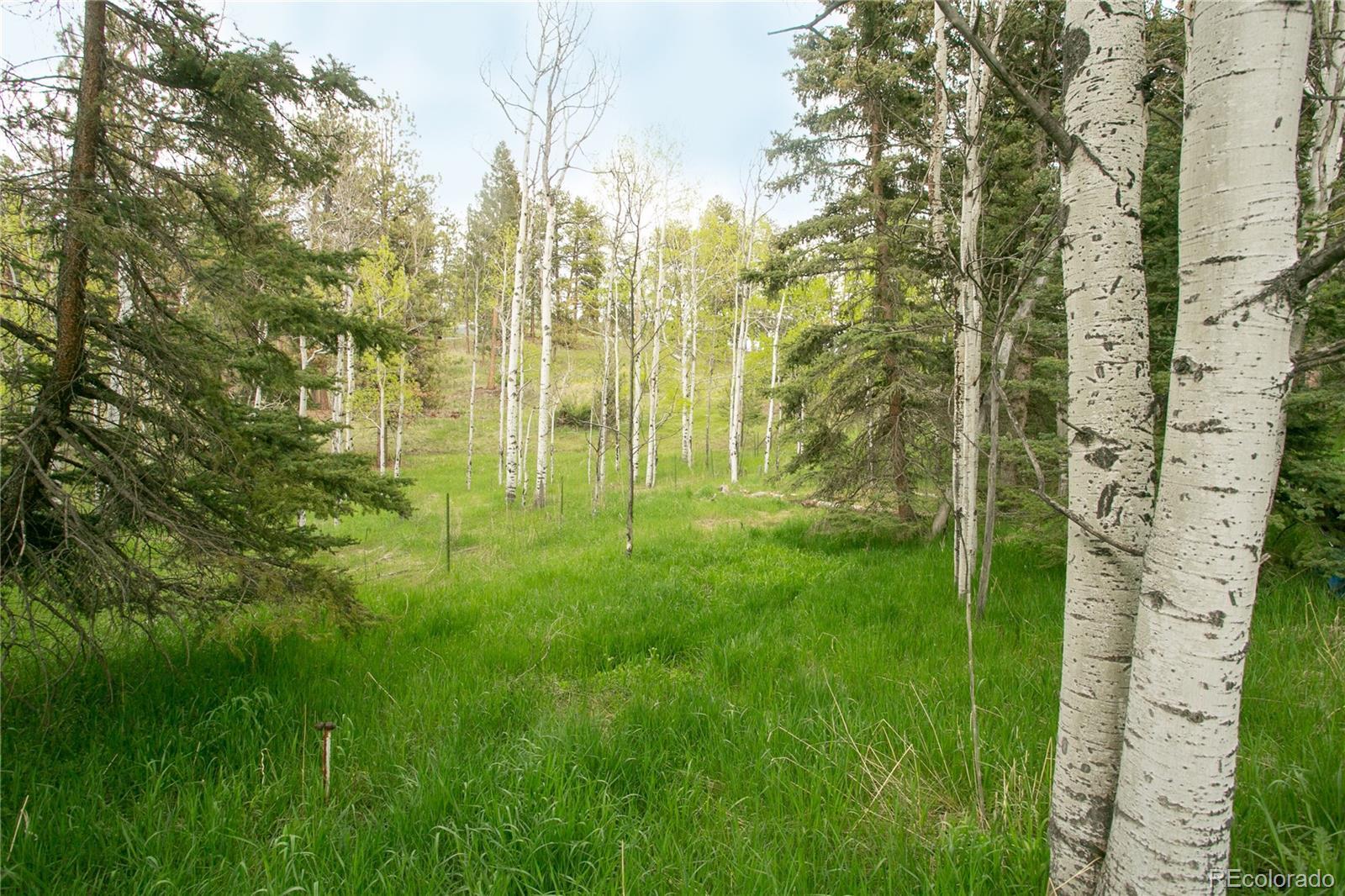 Photo #7