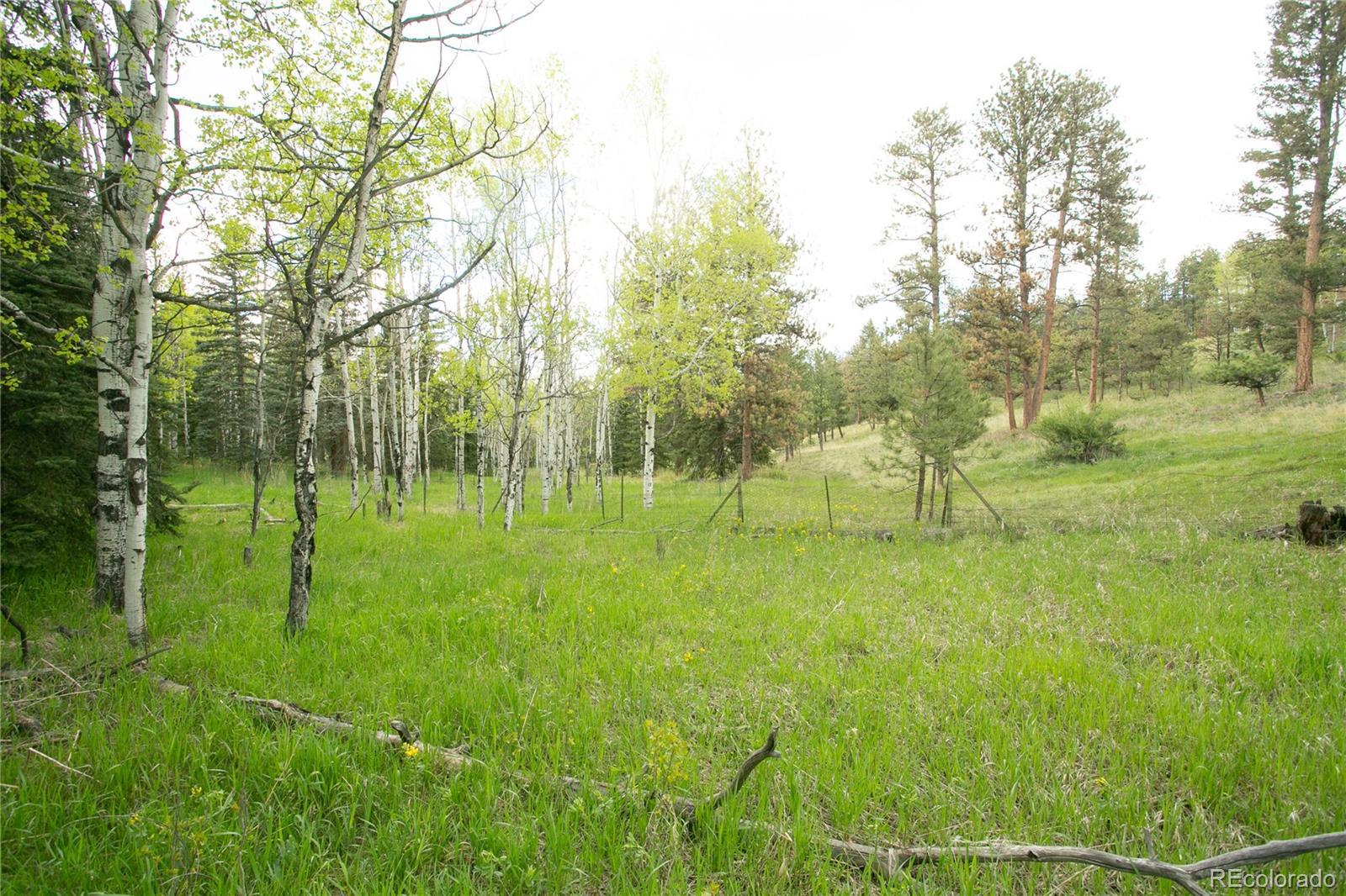 Photo #12