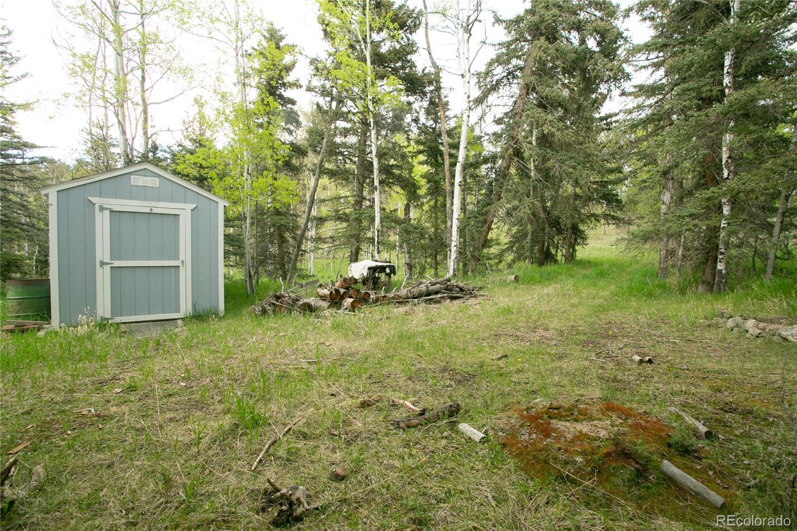 Photo #11