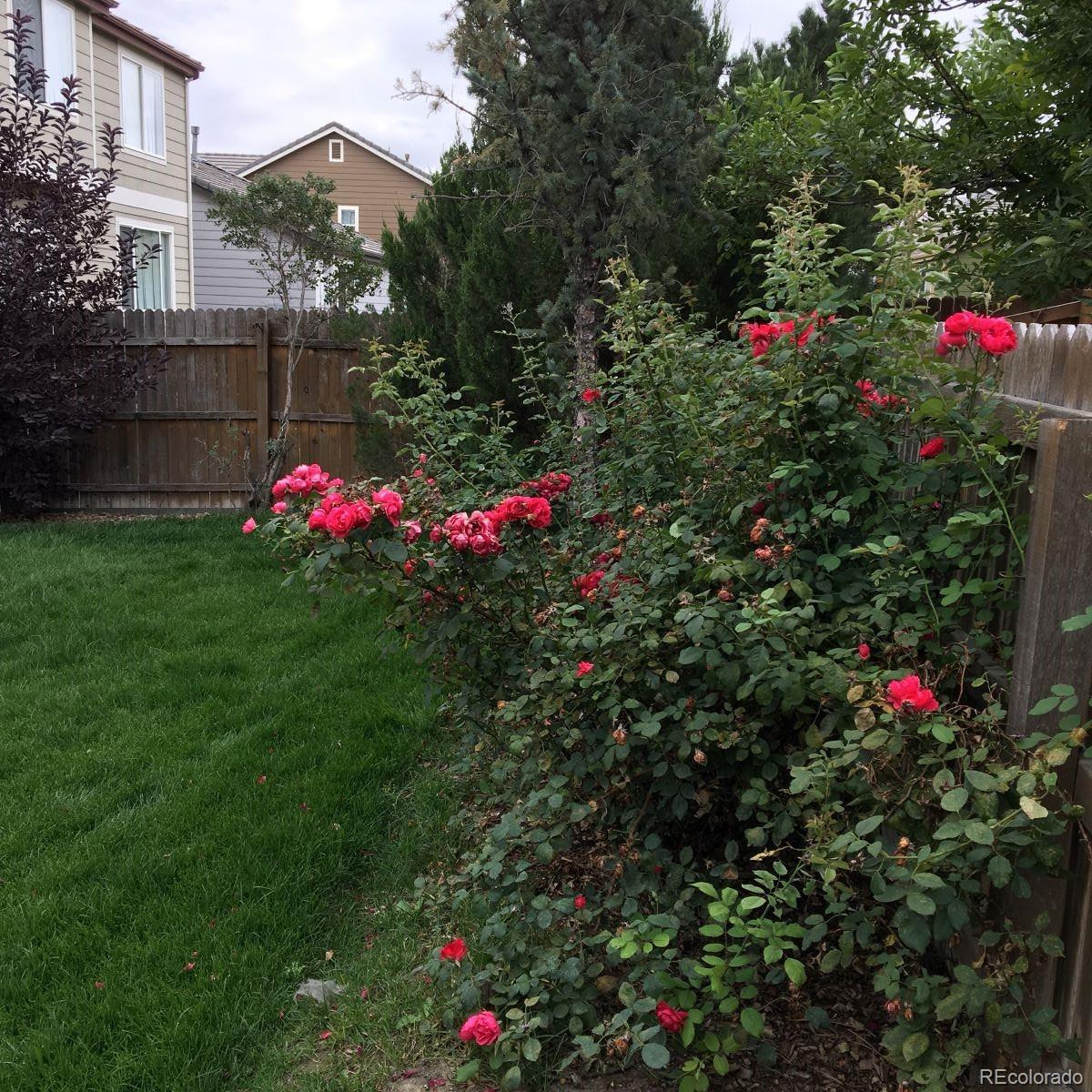 Photo #31