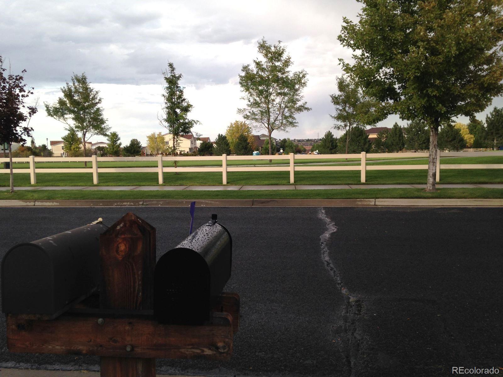 Photo #29