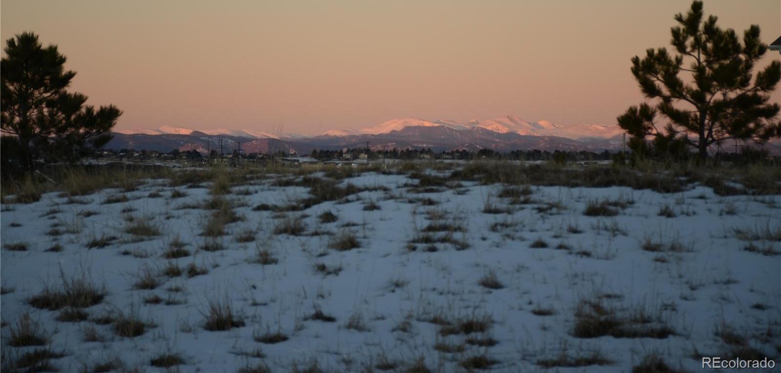 Photo #42