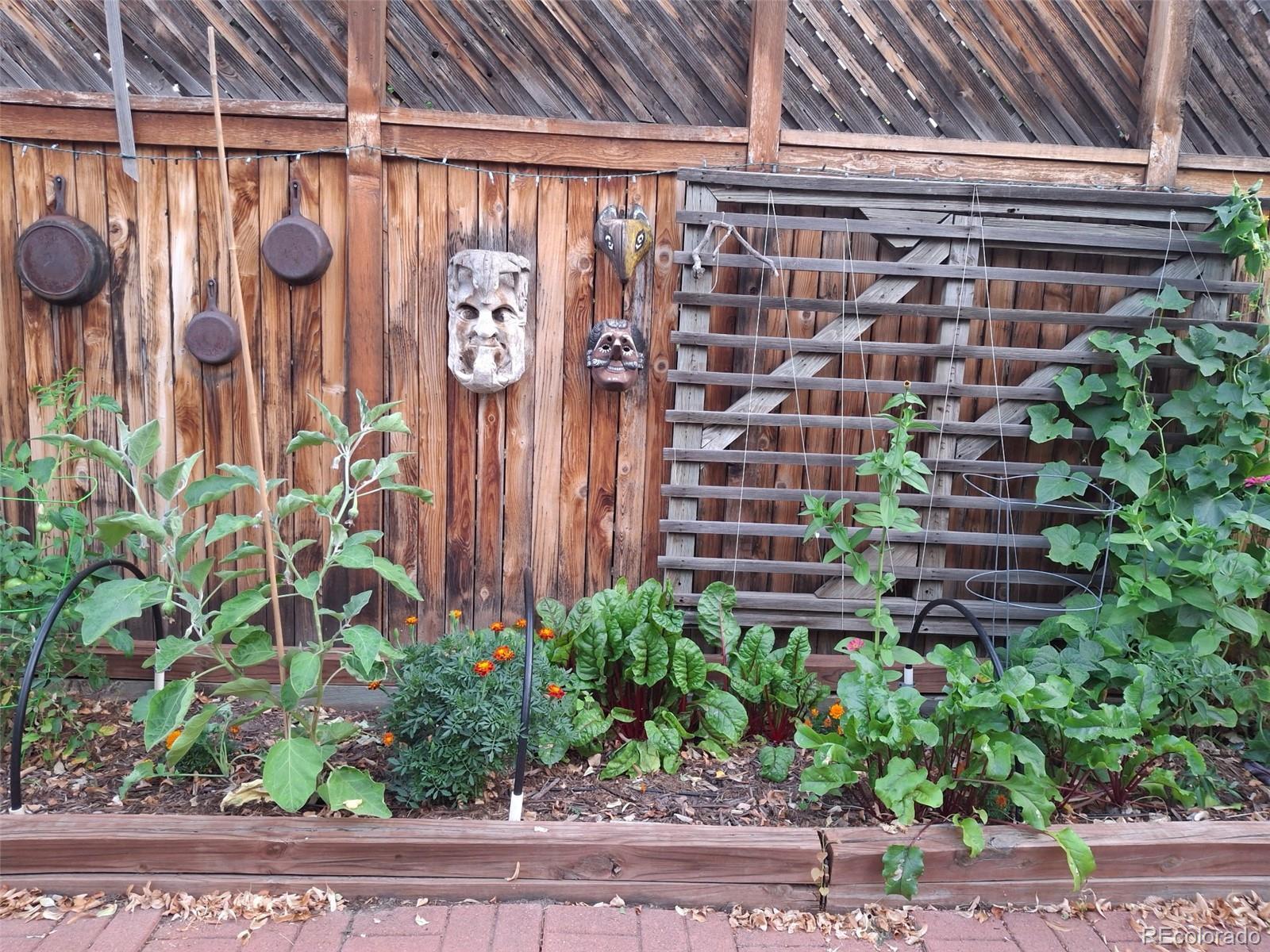 Photo #27