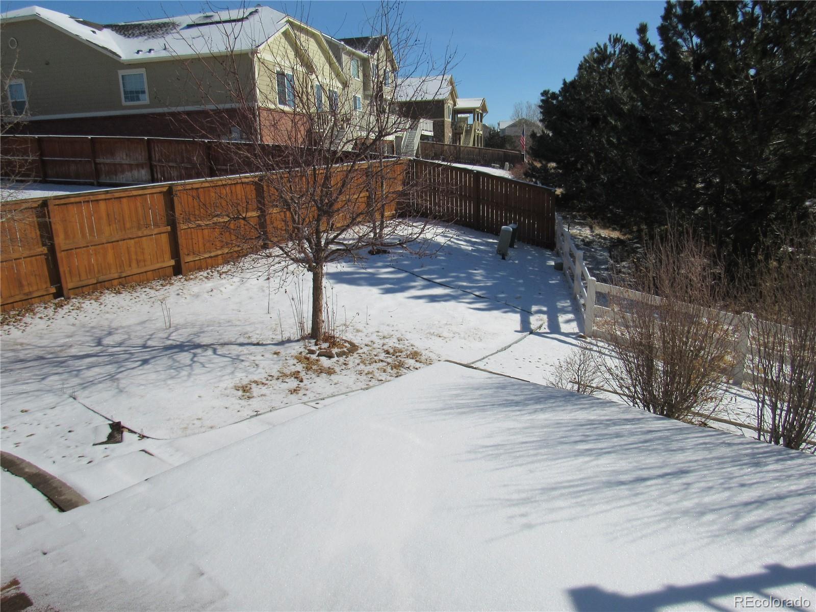 Photo #33