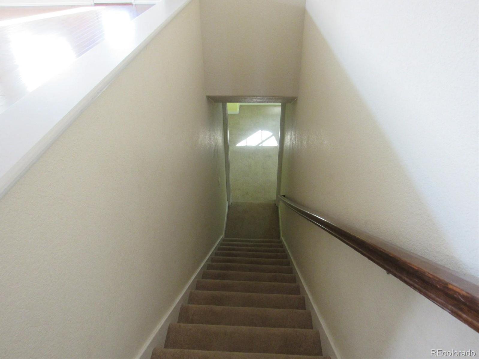 Photo #21