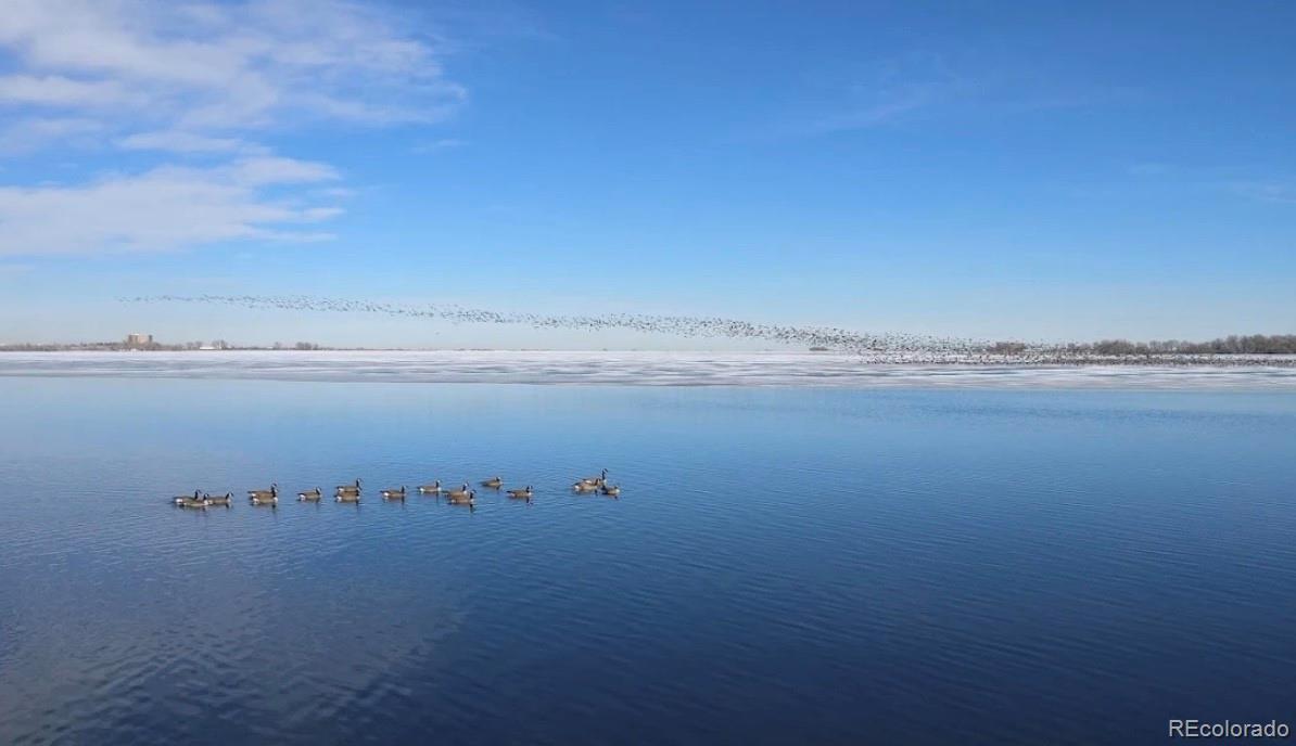 Photo #44