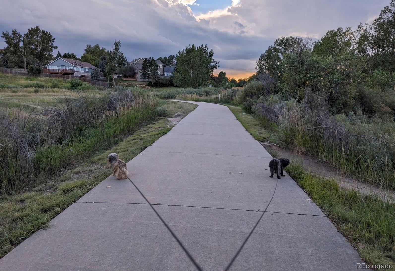 Photo #37