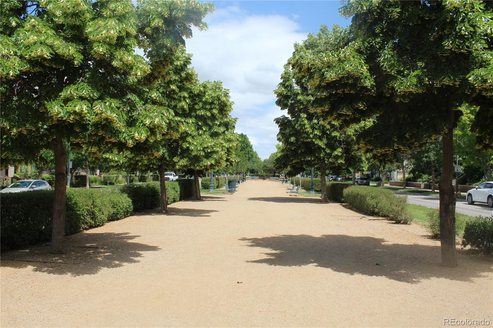 Photo #5
