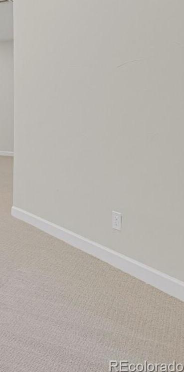 Photo #37