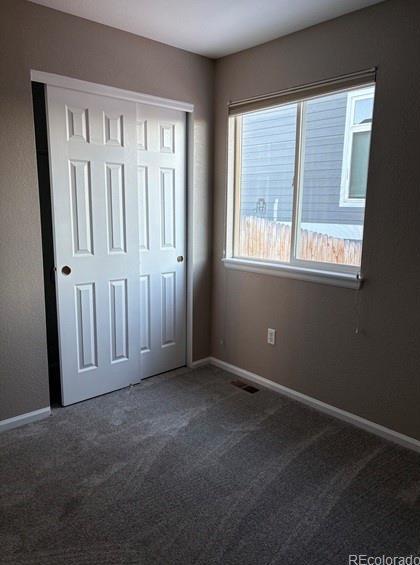 Photo #21