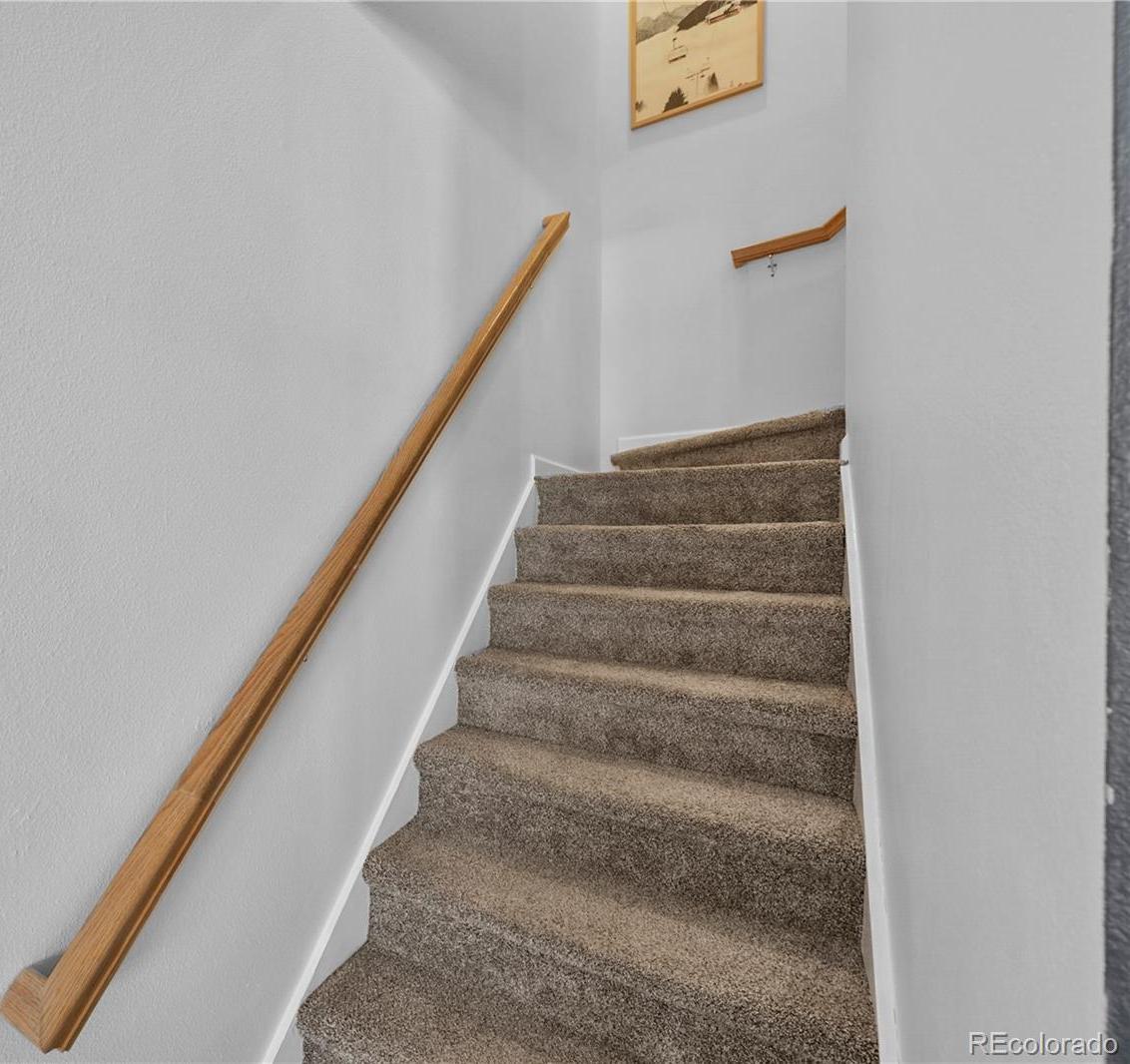 Photo #12