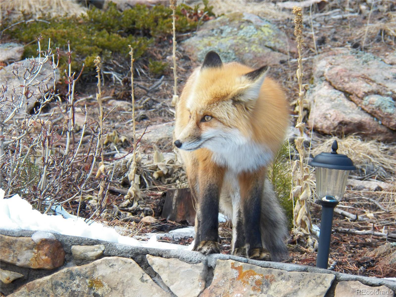 Photo #43