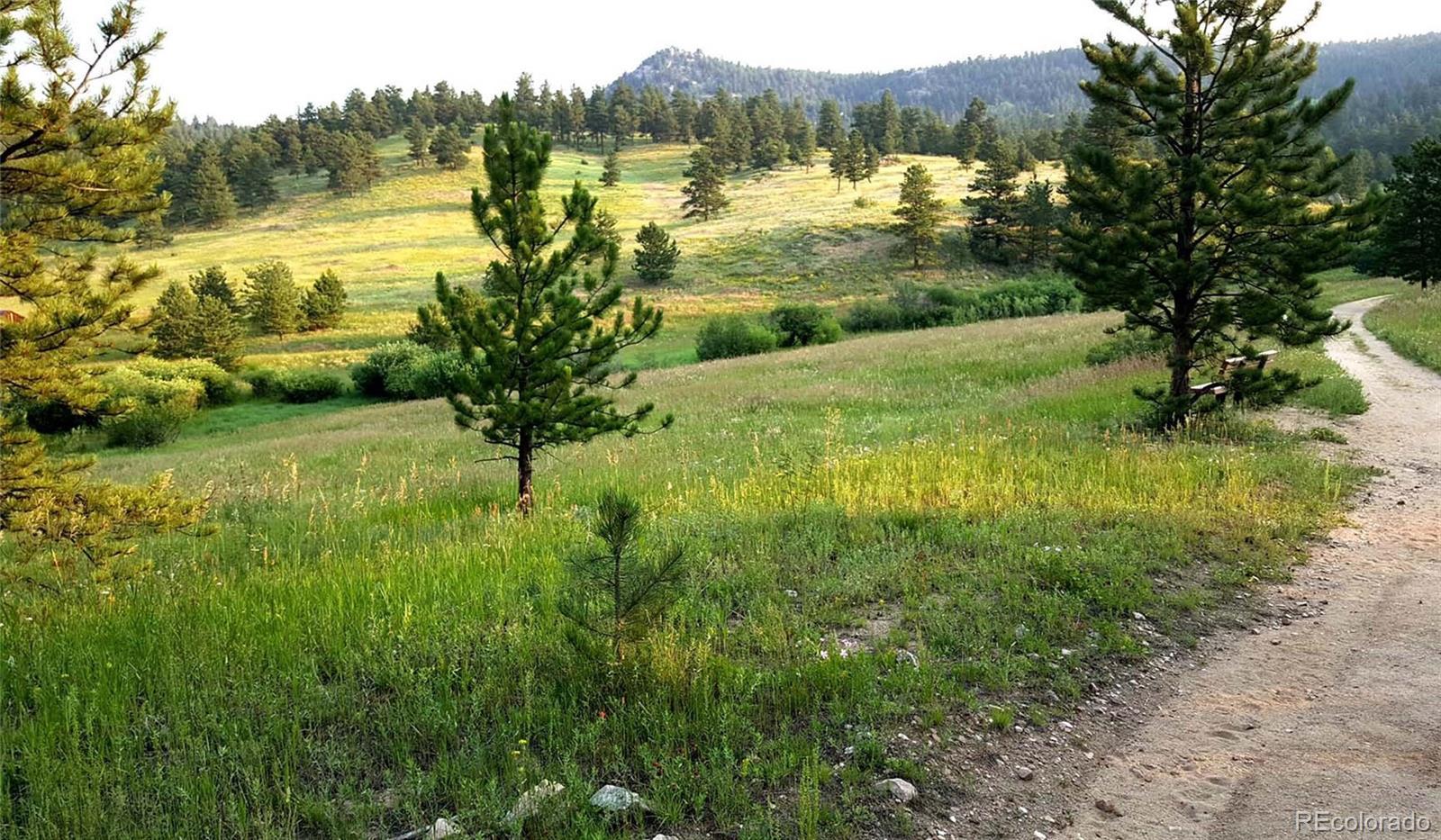 Photo #49