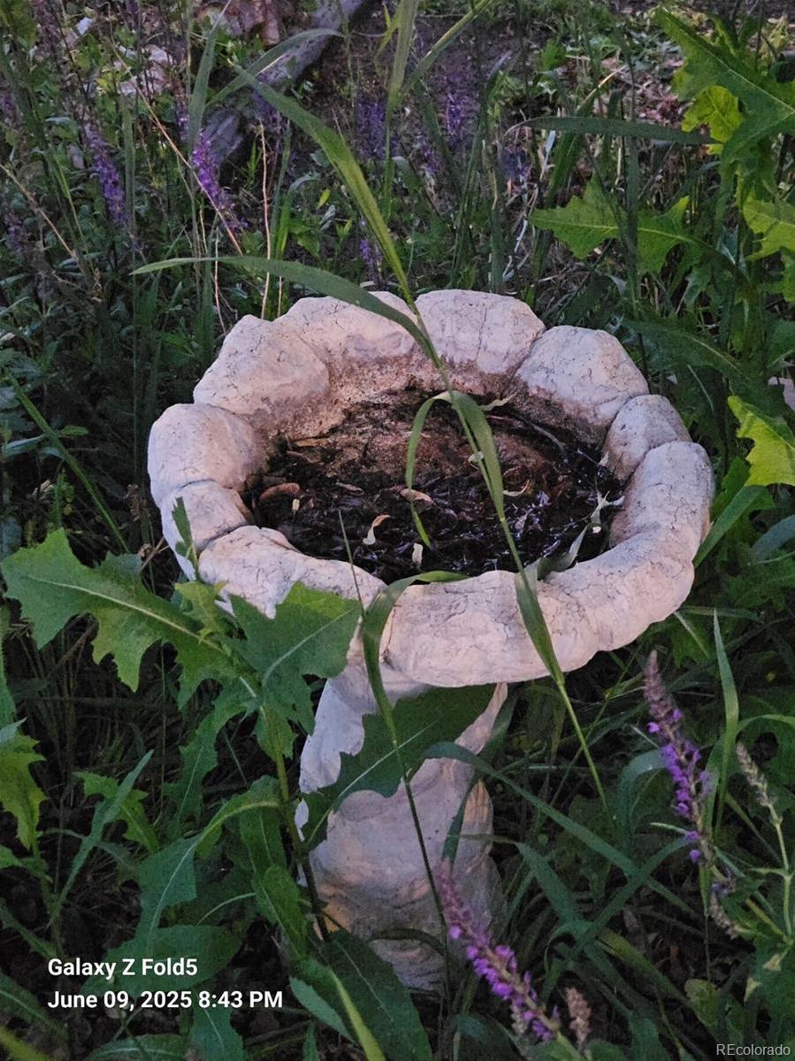 Photo #23