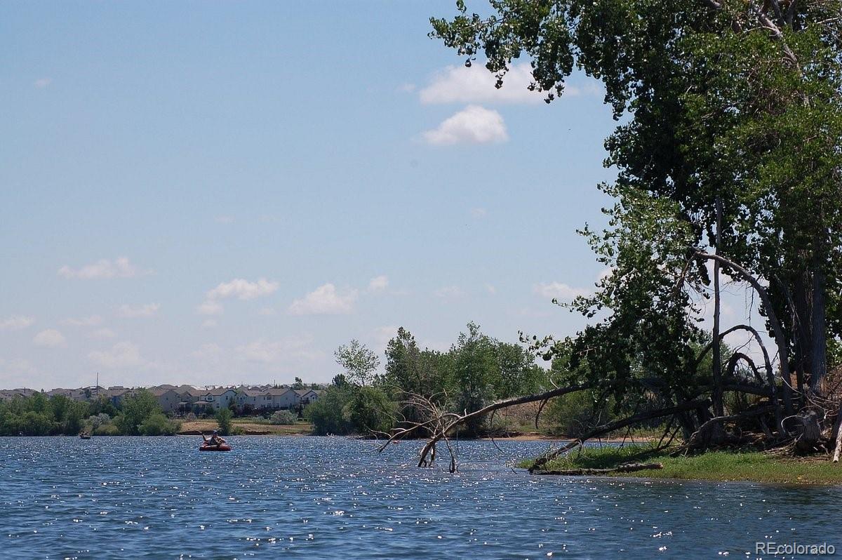 Photo #26