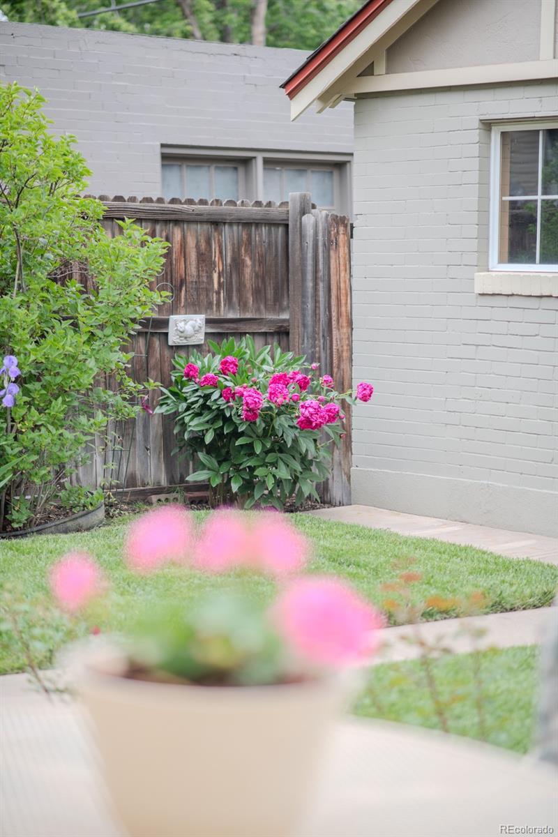 Photo #41