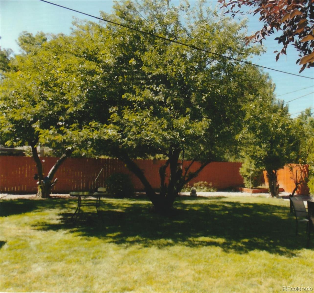 Photo #48