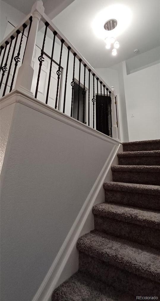 Photo #29
