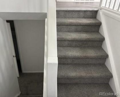 Photo #11