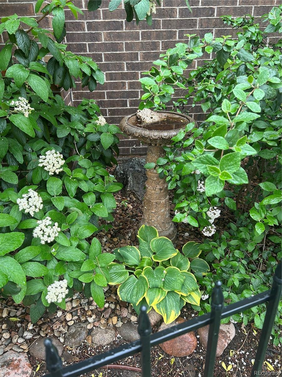 Photo #32