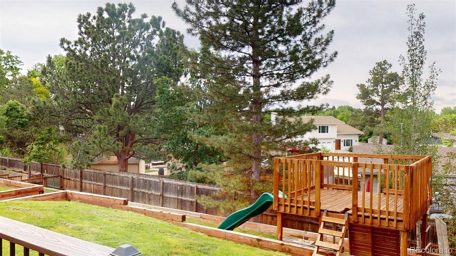 Photo #41