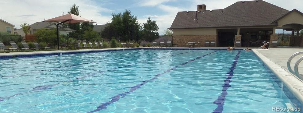Photo #49