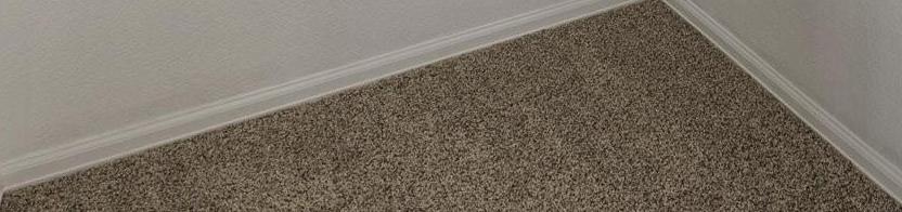 Photo #24