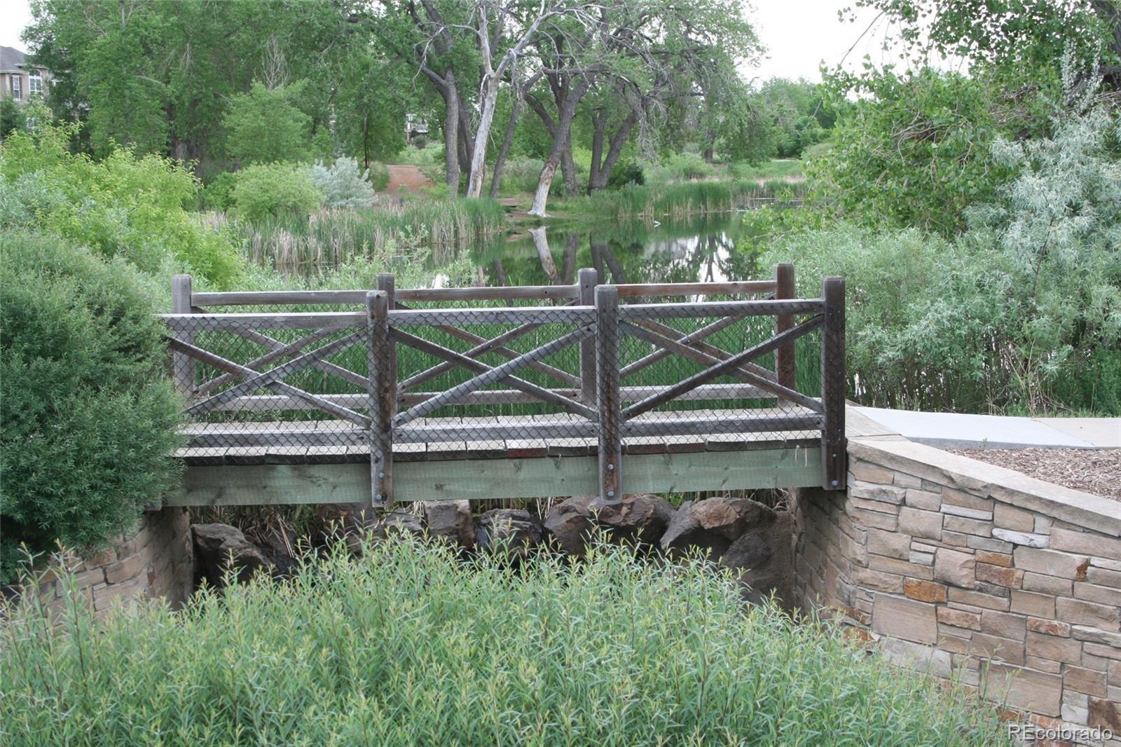 Photo #37