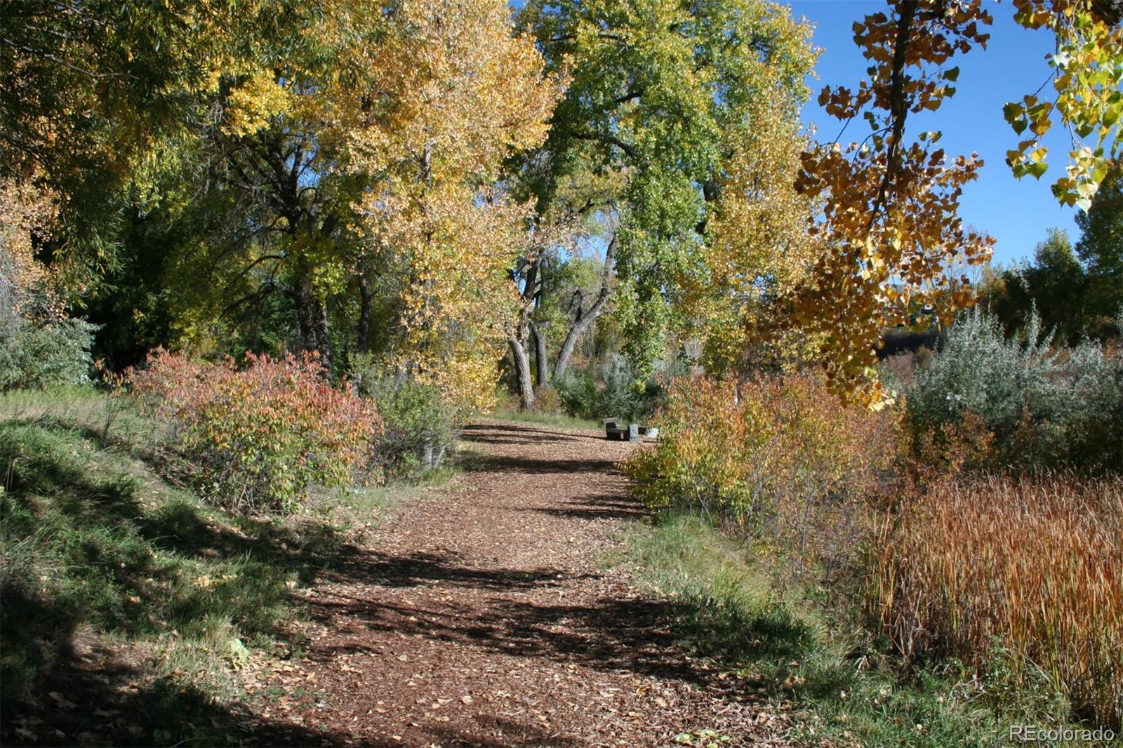 Photo #38
