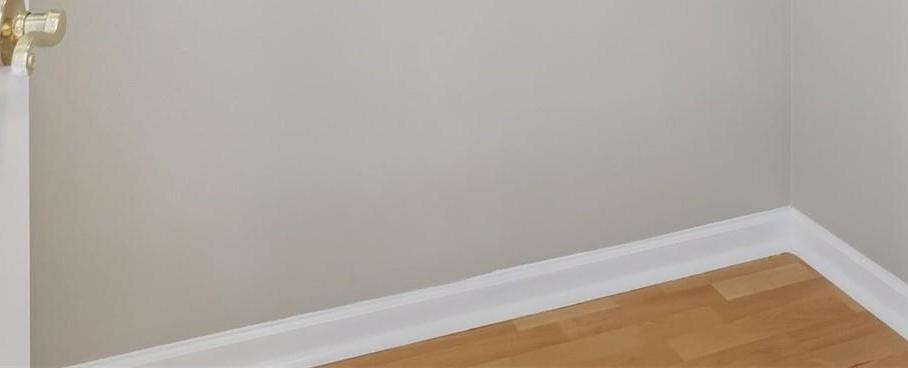 Photo #12