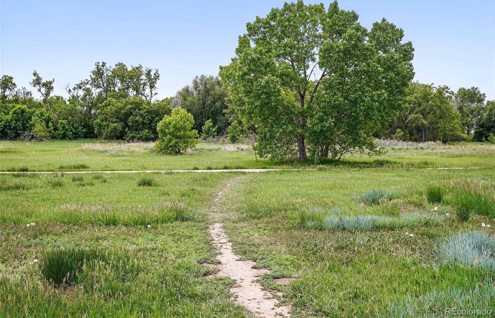 Photo #41