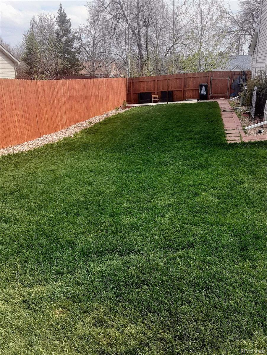 Photo #28