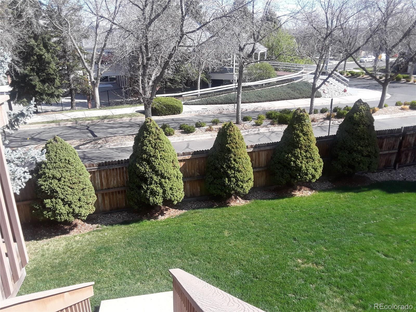 Photo #35