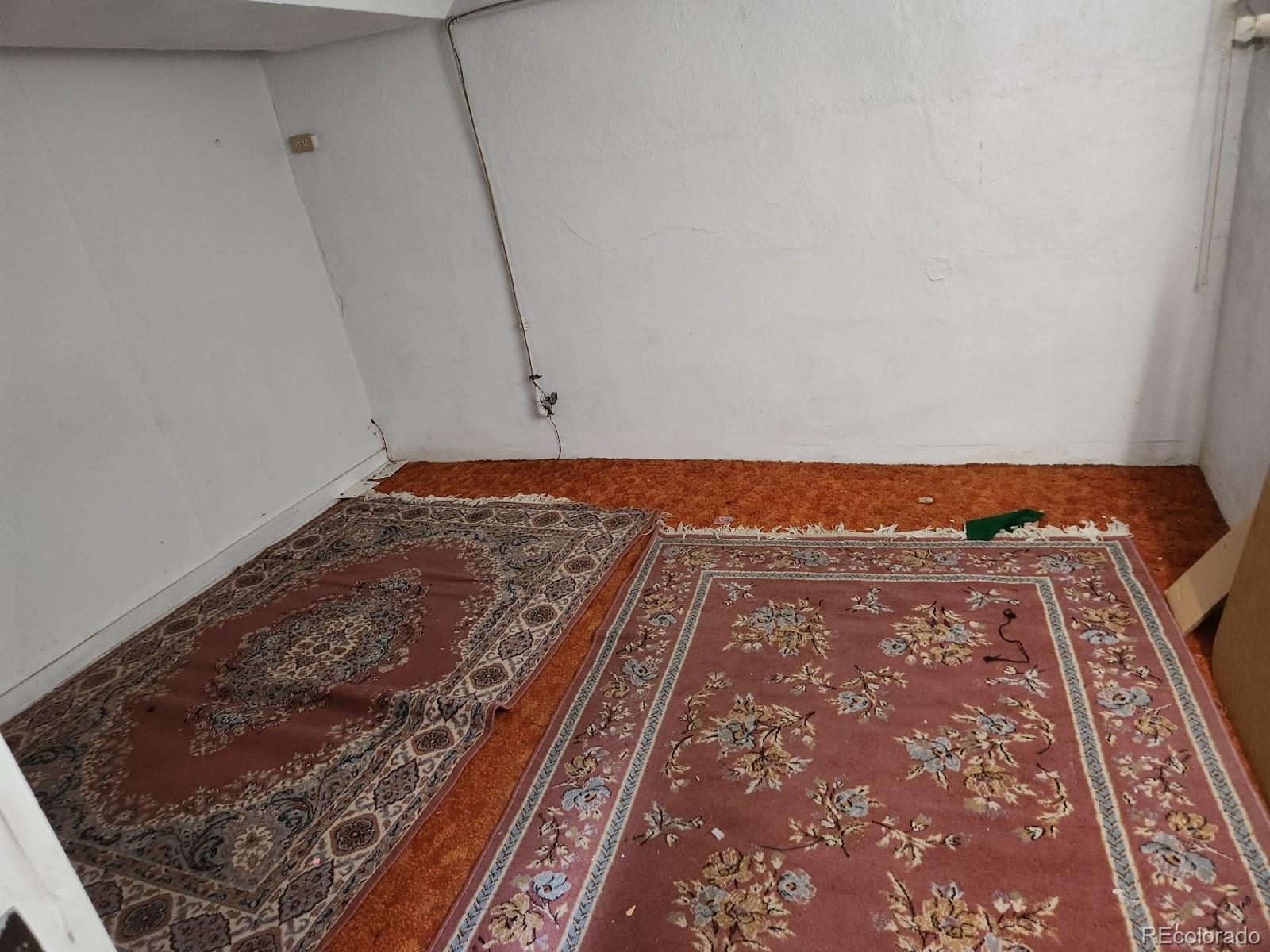 Photo #11