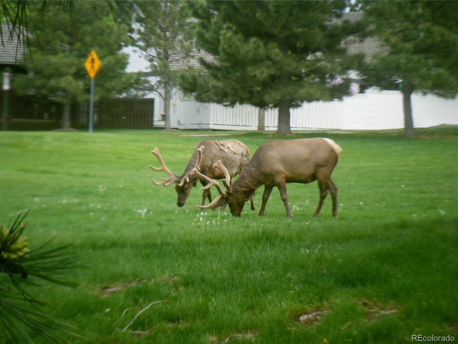 Photo #45