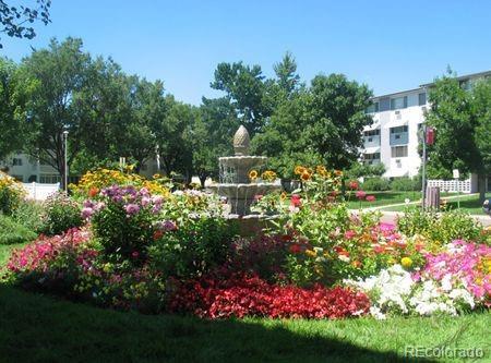 Photo #36