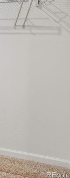Photo #18